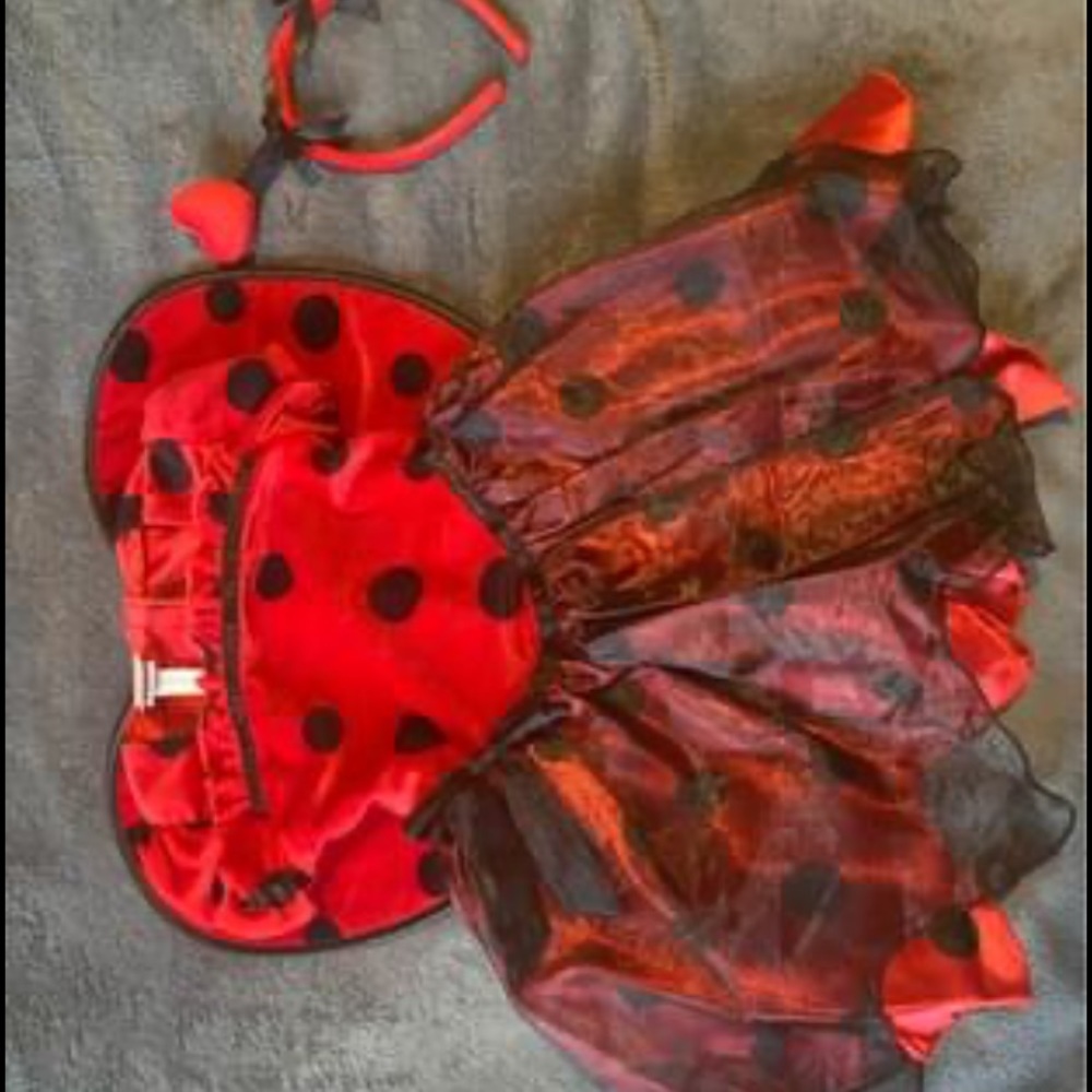 Lady Bug Costume